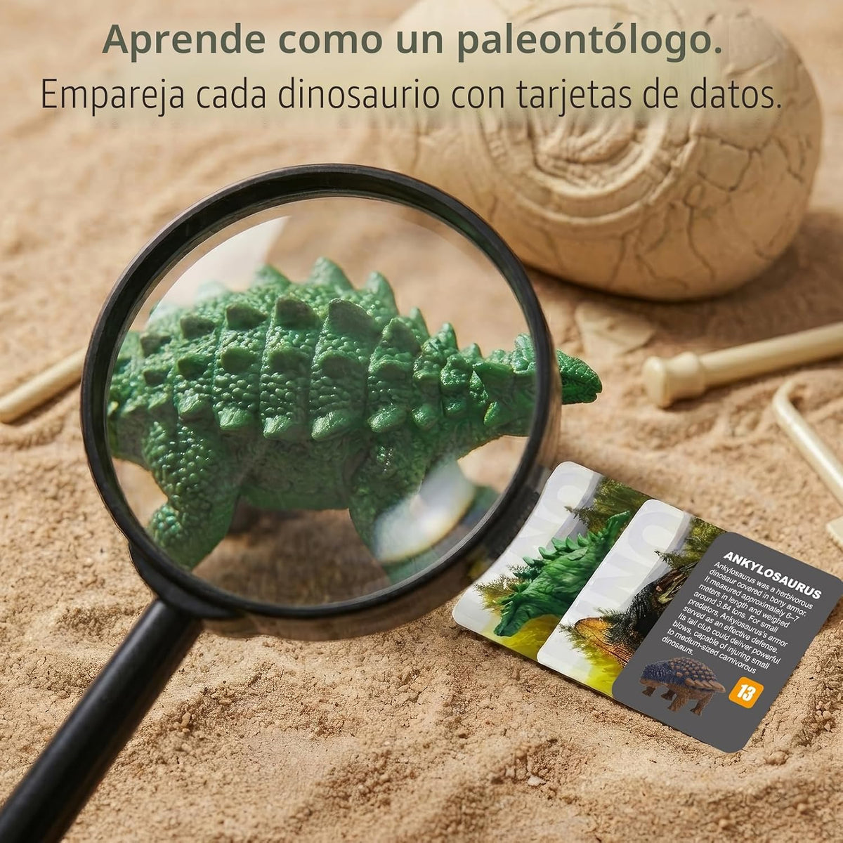 Uregoio 36 Kit único de excavación de dinosaurios con herramientas y