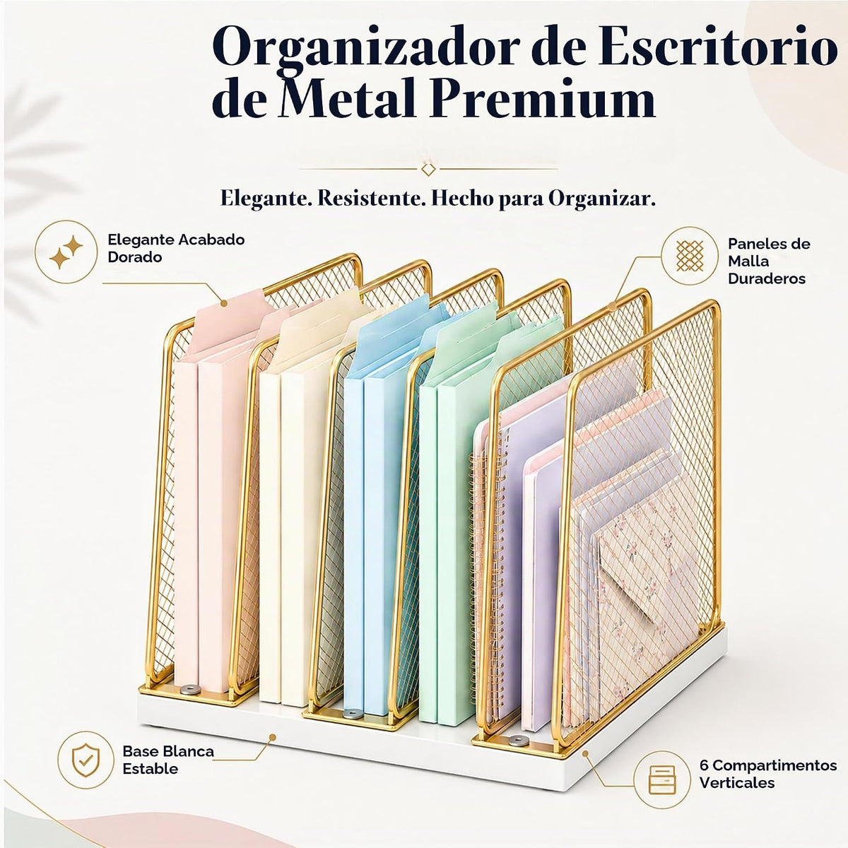 Organizador de archivos de escritorio, organizador de correo, grande