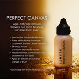 TEMPTU Kit de aerógrafo Air Flawless Complexion: sistema de aerógra...
