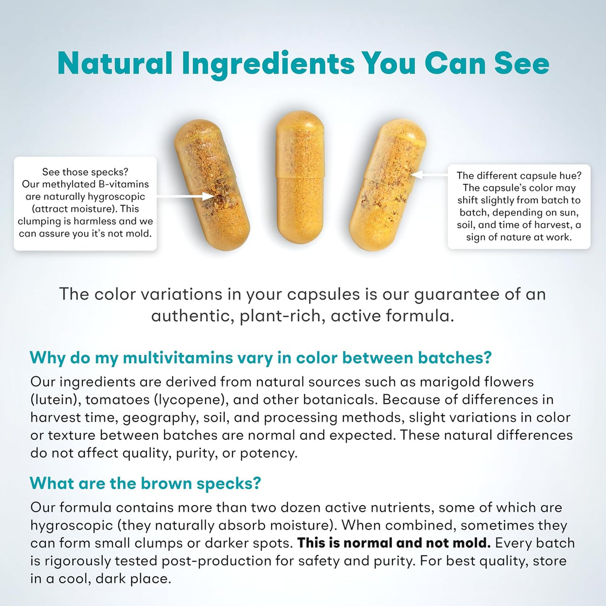 You Vites - Multivitamina metilada para hombres y mujeres