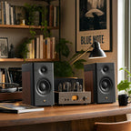HiVi-Swans Altavoces pasivos para estantería D3.1 MKII, par de altavoces domésticos de 2 vías de 6.5 pulgadas, necesita amplificador o receptor para funcionar
