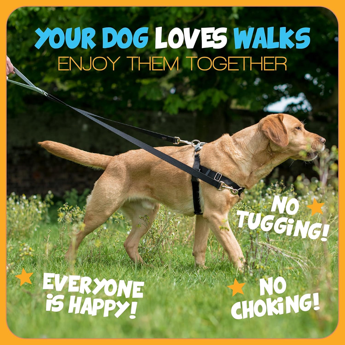 2 Hounds Design Freedom - Arnés y correa para perro sin tirones