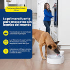 PetSafe Outlast - Fuente de agua para perros sin bombeo, 128 onzas
