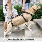 COODEO Mobility - Arnés de elevación para perros, arnés de apoyo y arnés para caminar para perros, chaleco de apoyo de rehabilitación de patas traseras de mascotas, transportador para perros mayores con lesiones en las articulaciones, artritis, escalera
