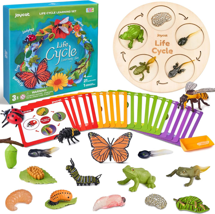 JoyCat Juguetes Educativos de Aprendizaje del Ciclo de Vida, Kit de...