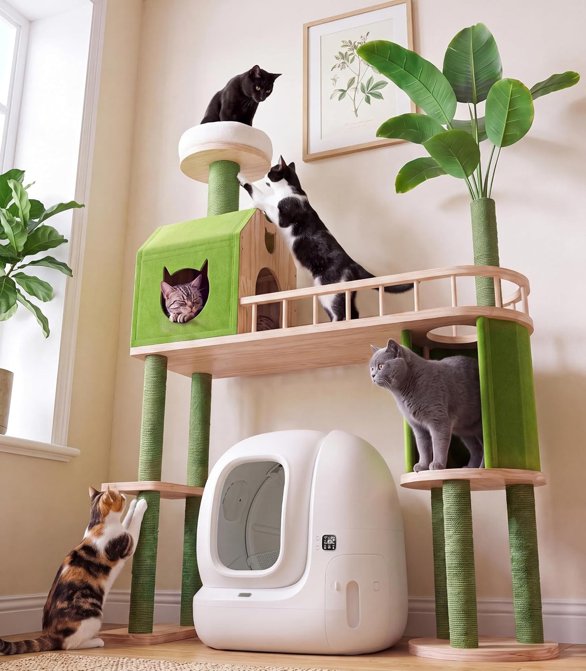 Árbol para gatos de madera maciza para caja de arena automática
