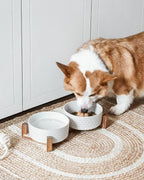 LE TAUCI - Juego de cuencos para perros con soporte de madera de acacia, cuencos de cerámica para cachorros de 1.8 tazas para perros pequeños, cuencos dobles para alimentos y agua con base