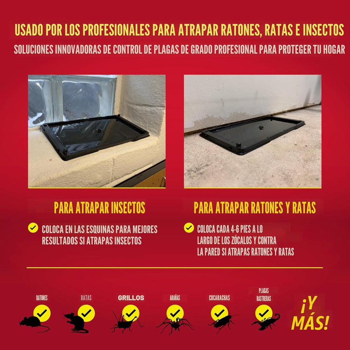 Catchmaster - Trampas para ratas, serpientes y ratones 10Pk, grande...