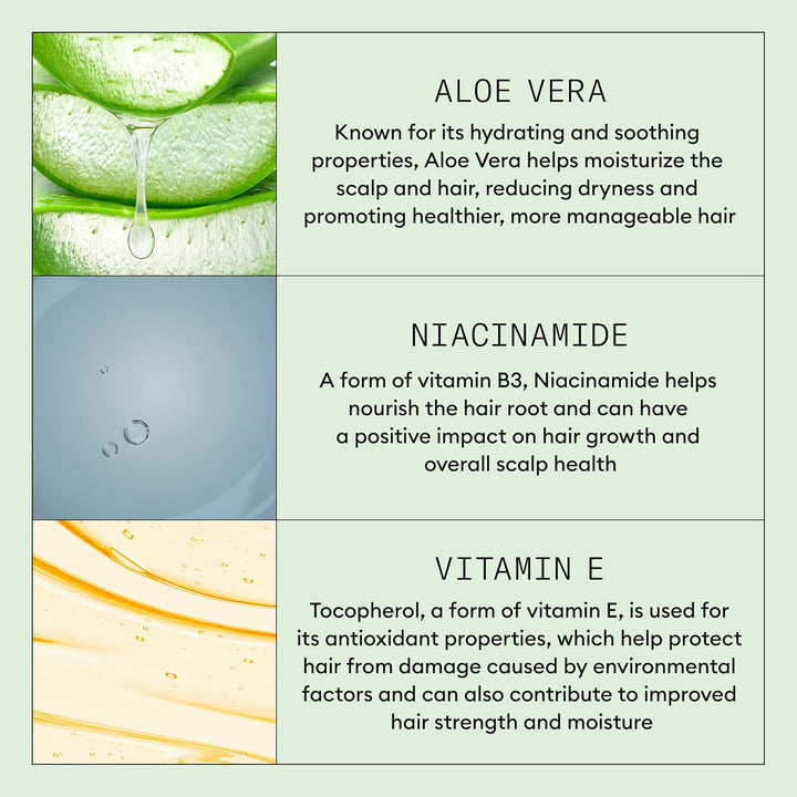 Nioxin - Limpiador de cuero cabelludo seco y con comezón, línea de...