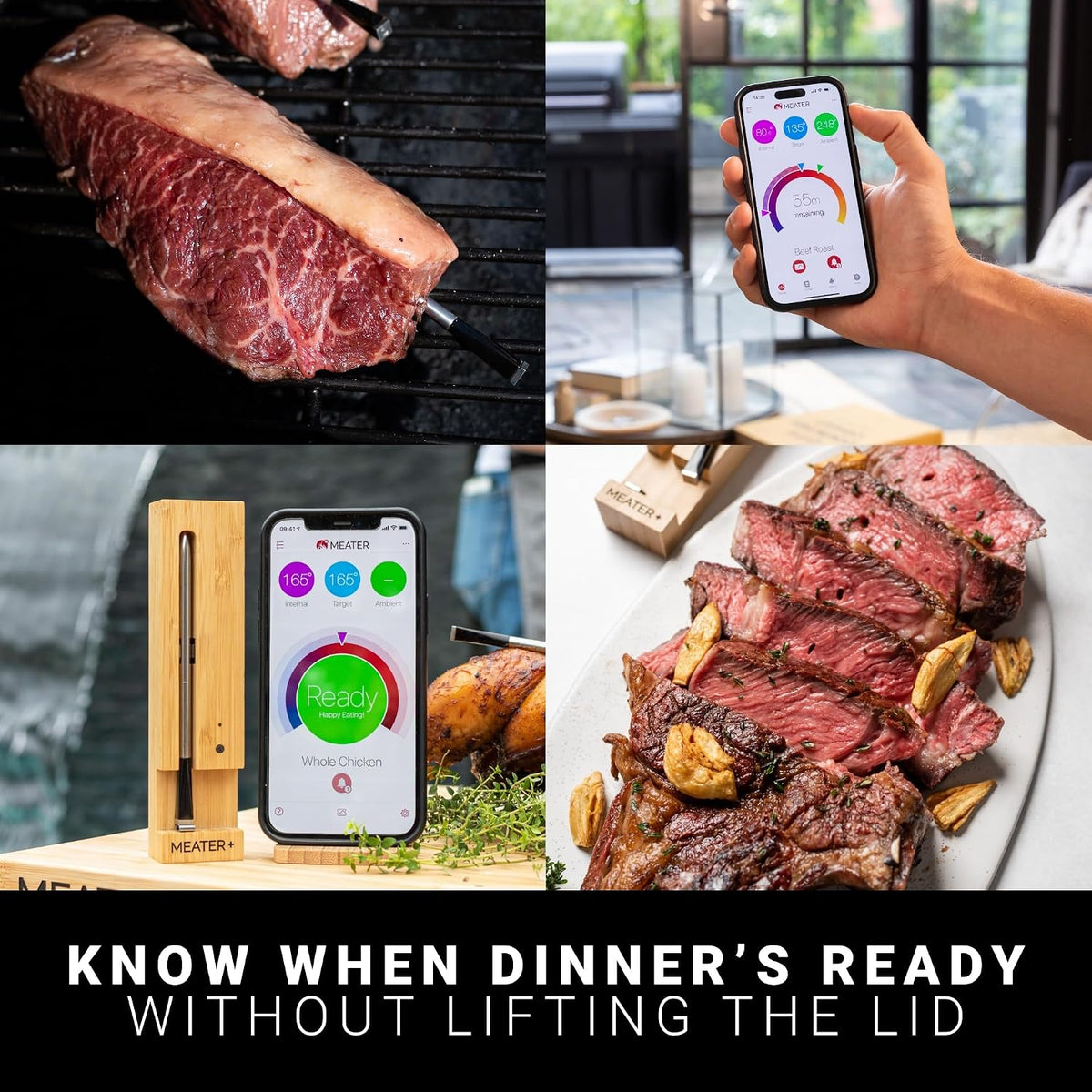 MEATER Termómetro Plus, azúcar morena, King of the Grill, Bluetooth, 165