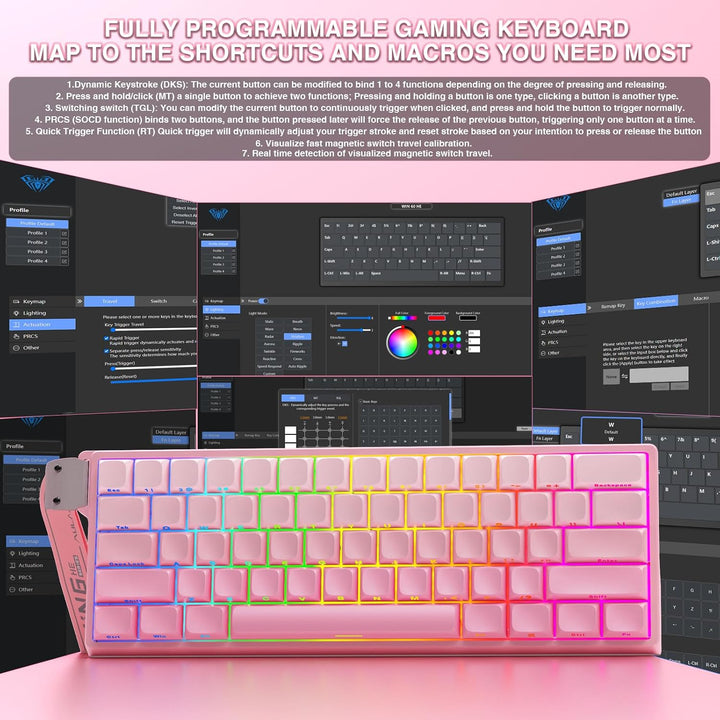 Aula WIN60 HE - Teclado mecánico para juegos 60% con cable, interru...
