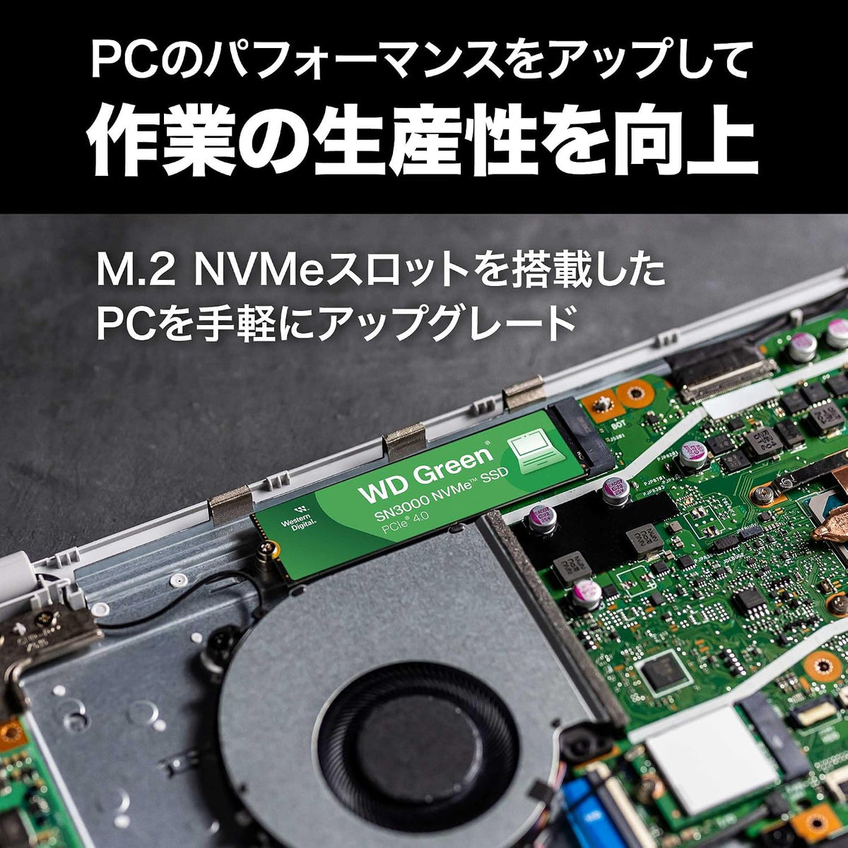 Western Digital NVMe WDS200T4G0E-EC SSD interno 2TB WD Verde SN3000...