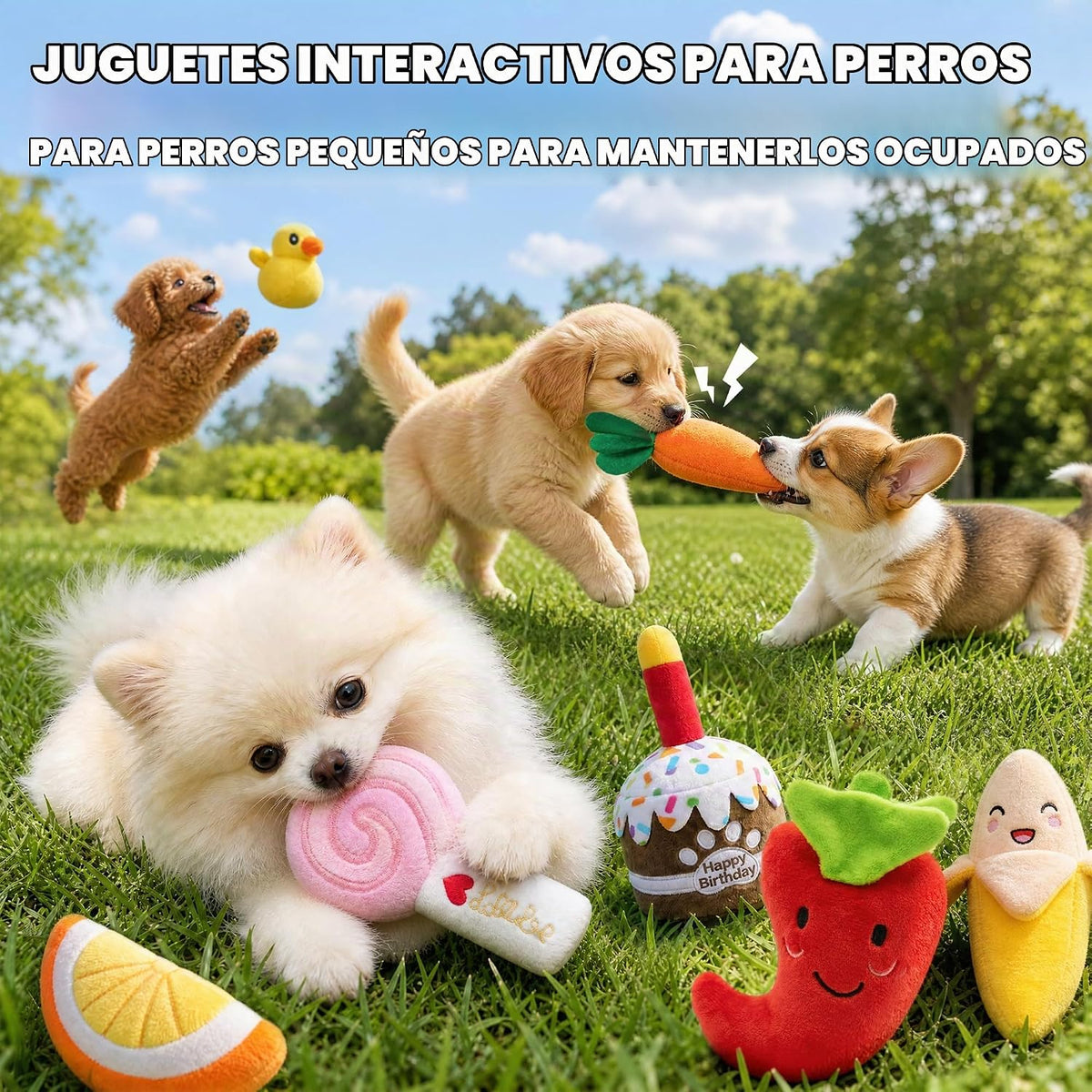 Juguetes para cachorros, juguete de cumpleaños para perros arrugados, para