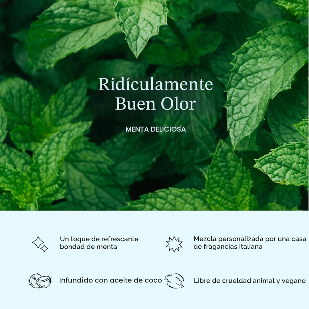 Cocofloss Hilo Dental Tejido, Juego de Recargas, Cuidado Bucal Dise...