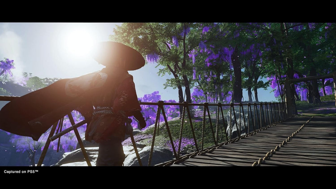 PlayStation, Ghost Of Tsushima Director's Cut (PS5)