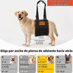 Arnés de elevación ajustable para perros, honda grande de la ayuda