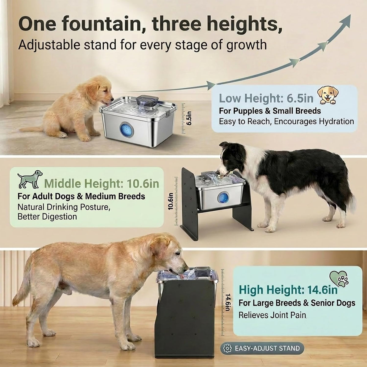 PETTEN Fuente de agua elevada del perro del acero inoxidable interior 12L