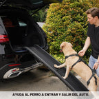 COODEO Mobility - Arnés de elevación para perros, arnés de apoyo y arnés para caminar para perros, chaleco de apoyo de rehabilitación de patas traseras de mascotas, transportador para perros mayores con lesiones en las articulaciones, artritis, escalera