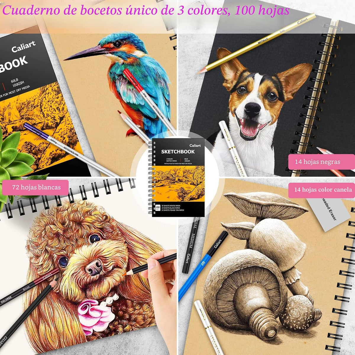 Caliart Kit de bocetos de 176 piezas, 100 hojas de 3 colores