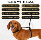 Correa de perro sin tirones con diseño envolvente para caminar