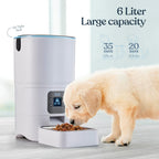 Alimentador automático inteligente para gatos, dispensador automático confiable de alimentos para gatos de 6 litros con pantalla LCD para una fácil instalación, (blanco)