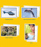 Key Education Tarjetas didácticas de la biblioteca, 6 pulgadas x 9.2 pulgadas x 3.5 pulgadas