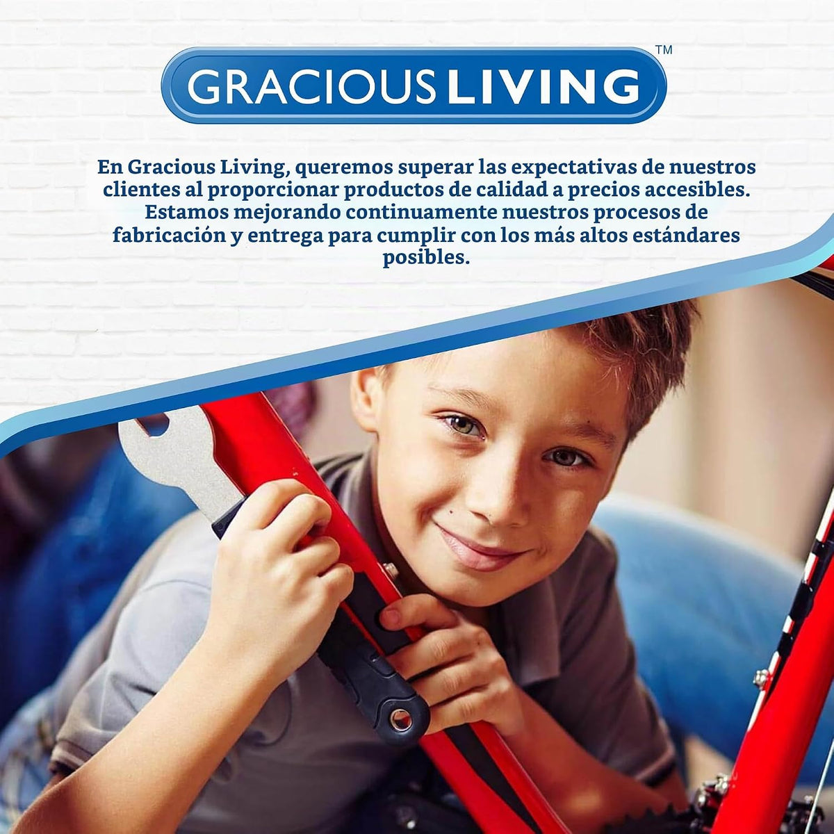 Gracious Living - Organizador de almacenamiento de escritorio y encimera de