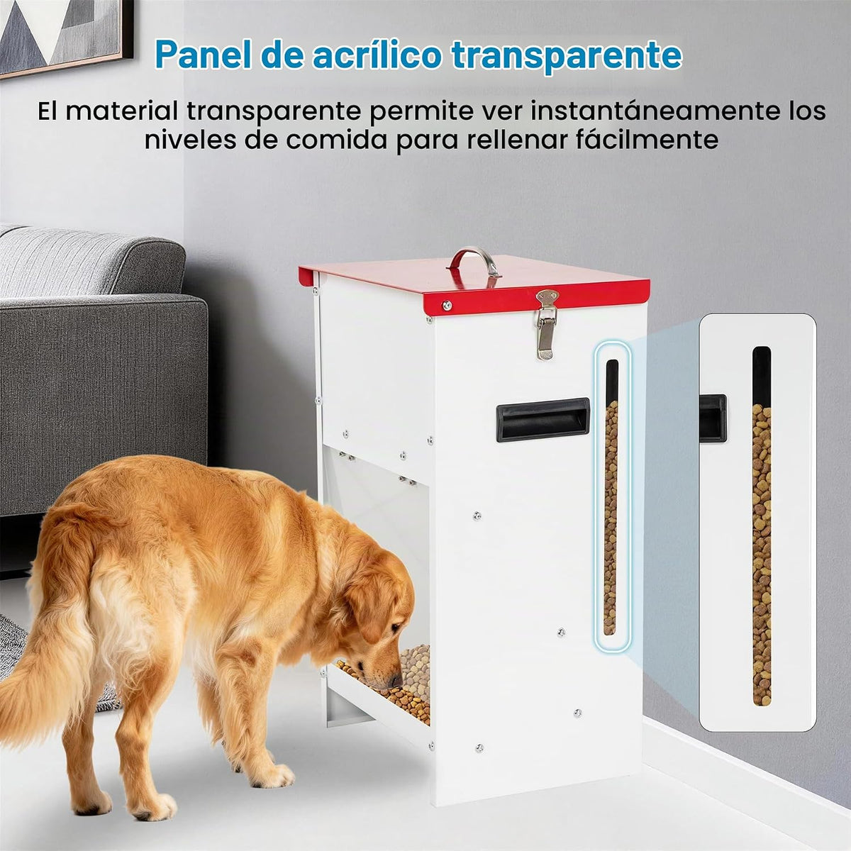 Alimentador automático para perros - Dispensador automático de
