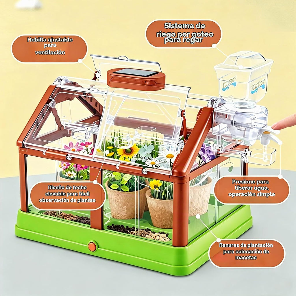 Kit de cultivo de plantas para niños, juego de terrario de invernadero, educativo, ciencia, bricolaje, jardín, invernadero, con panel solar, kit de jardinería interior