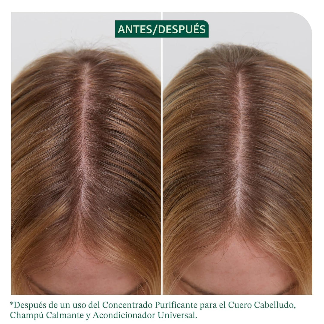 Biolage Scalp Sync Universal Conditioner - Nourishing &amp; Hydrati...