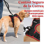 rabbitgoo Arnés para perro, sin tirones para perros grandes con 2 clips