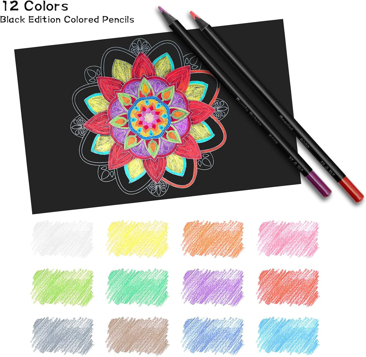 H & B Kit de boceto de 101 piezas para adultos con 3 libros y estuche con