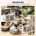 Fuente de agua para gatos sin bombeo de acero inoxidable 108oz