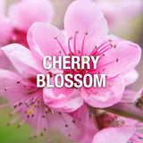 Giorgio Beverly Hills Red - Perfume para mujer, Eau de Toilette EDT...