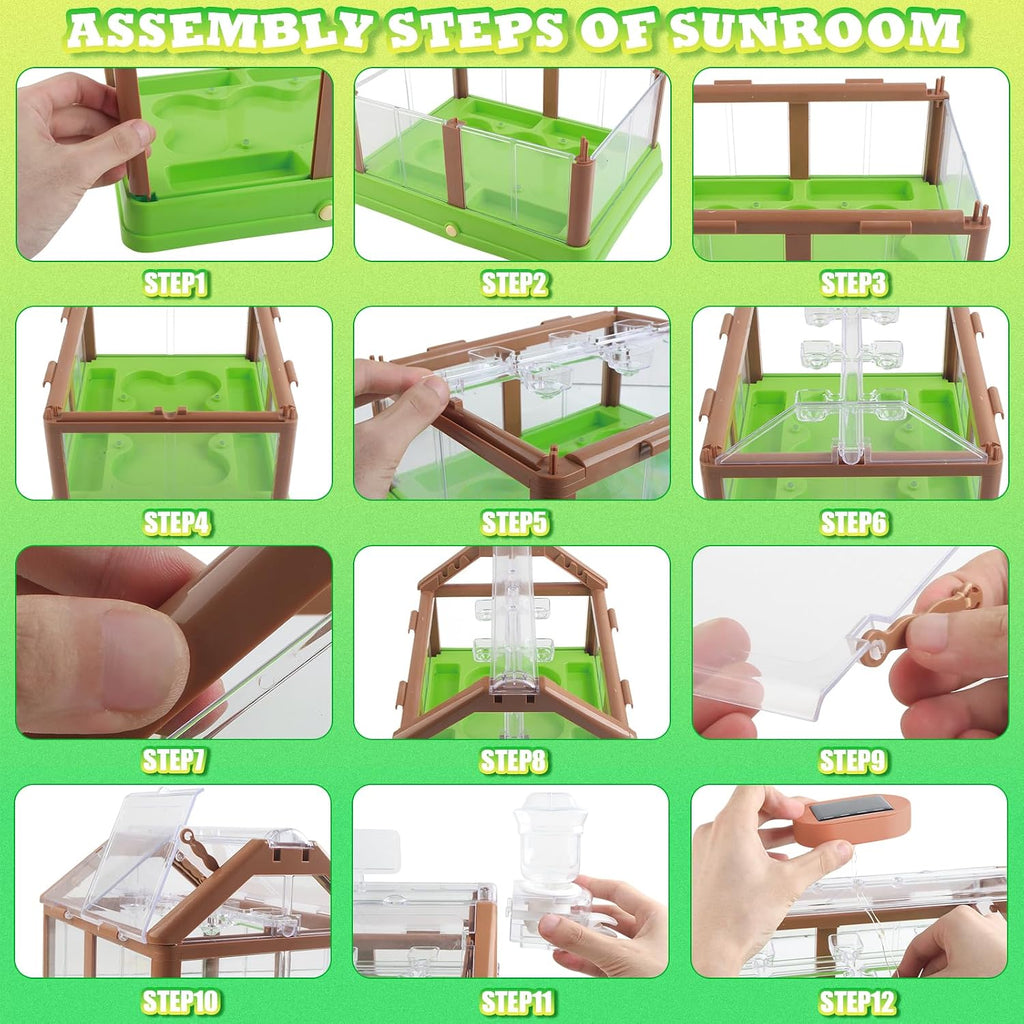 Kit de cultivo de plantas para niños, kit de cultivo de invernadero y flores para niños con riego mejorado y luz de crecimiento, jardinería perfecta para niños (verde solar)