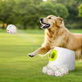 All for Paws - Lanzador automático de bolas para perros, juguete interactivo al aire libre para perros medianos a grandes, máquina lanzadora de bolas recargable para perros