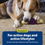 PetSafe Busy Buddy Bouncy Bone - Juguete ajustable 3 en 1 de alimentación lenta con anillos de golosinas recargables, limpia dientes y encías, cura el aburrimiento y ralentiza los hábitos alimenticios