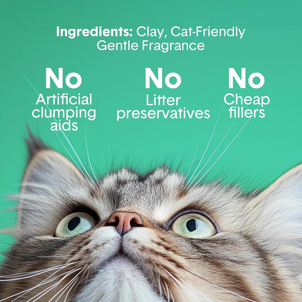 Boxie Premium - Arena para gatos perfumada para gatos durante más de 30 días, 16 libras