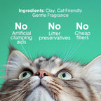 Boxie Premium - Arena para gatos perfumada para gatos durante más de 30 días, 16 libras