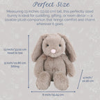 MON AMI Coco Bunny - Conejo de peluche de 13 pulgadas, conejo de Pascua