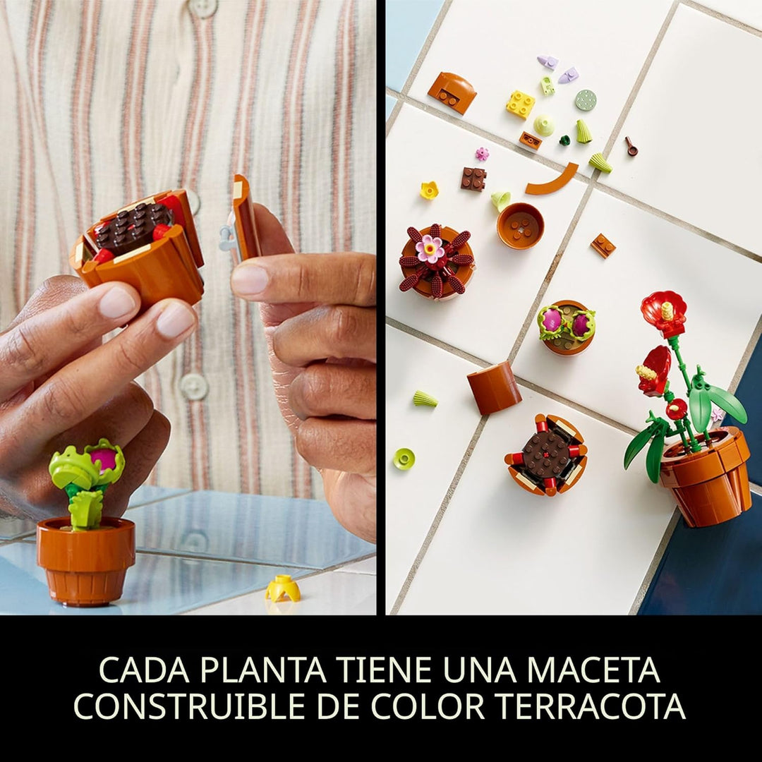 LEGO Botanicals - Juego de plantas de interior