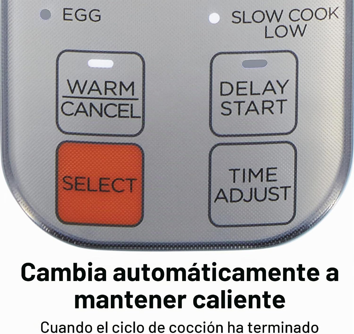 Hamilton Beach Arrocera digital programable y vaporizador de alimentos