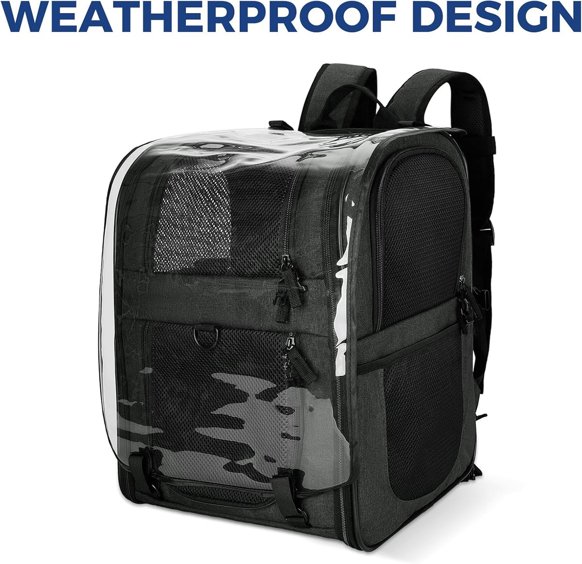 Apollo Walker Mochila transportadora de mascotas para gatos y perros grandes/pequeños, cachorros, características de seguridad y soporte de respaldo acolchado para viajes, senderismo, uso al aire