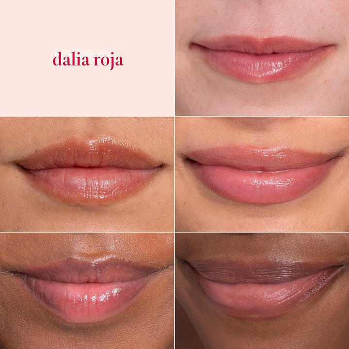 Burt's Bees - Bálsamo labial para rellenar los calcetines, fórm...