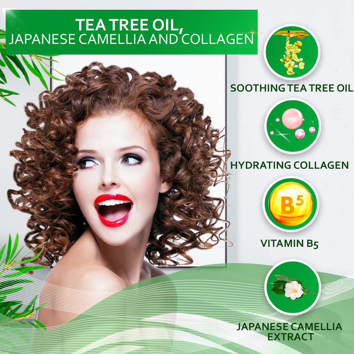 Juego de champú y acondicionador de árbol de té, con aceite de árbo...