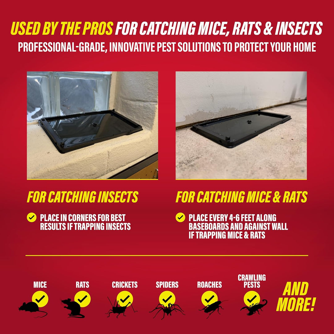 Catchmaster Trampas para ratas, serpientes y ratones 12Pz, grandes...