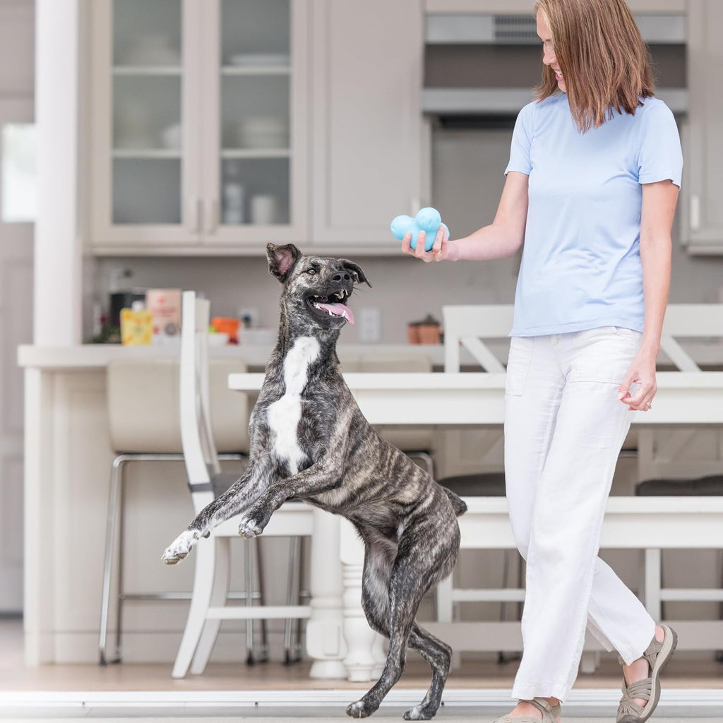 West Paw Zogoflex Tux dispensador interactivo de comida para perro, juguete masticable para perros agresivos, 100% resistencia garantizada, flota, fabricado en EE. UU., L, Agua (Aqua)