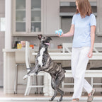 West Paw Zogoflex Tux dispensador interactivo de comida para perro, juguete masticable para perros agresivos, 100% resistencia garantizada, flota, fabricado en EE. UU., L, Agua (Aqua)