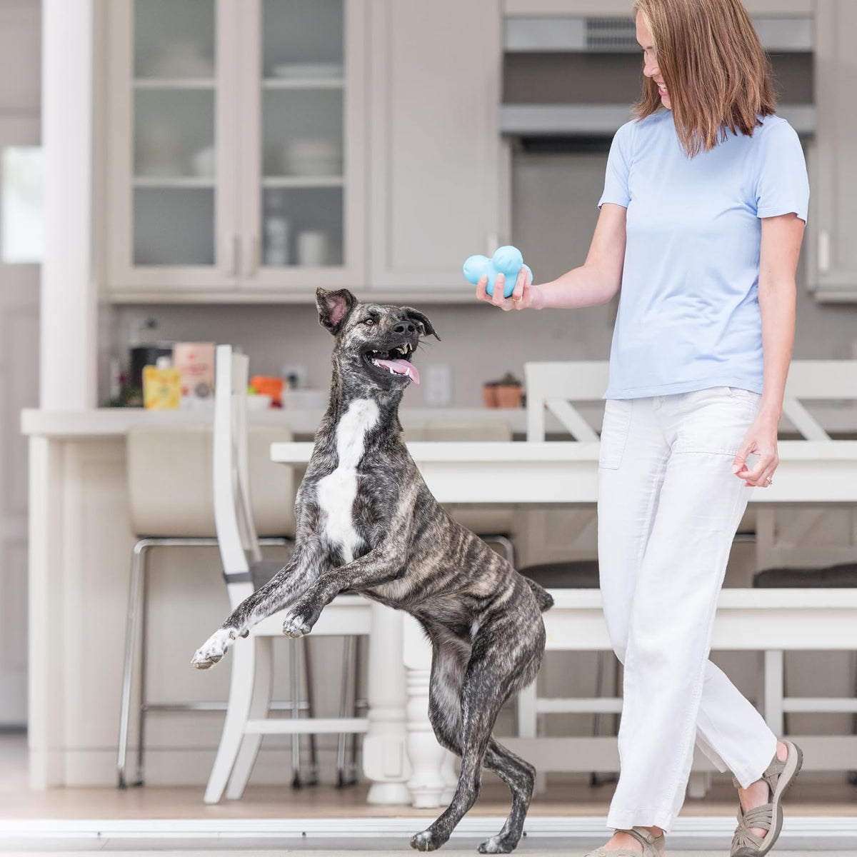 West Paw Zogoflex Tux dispensador interactivo de comida para perro, juguete masticable para perros agresivos, 100% resistencia garantizada, flota, fabricado en EE. UU., L, Agua (Aqua)