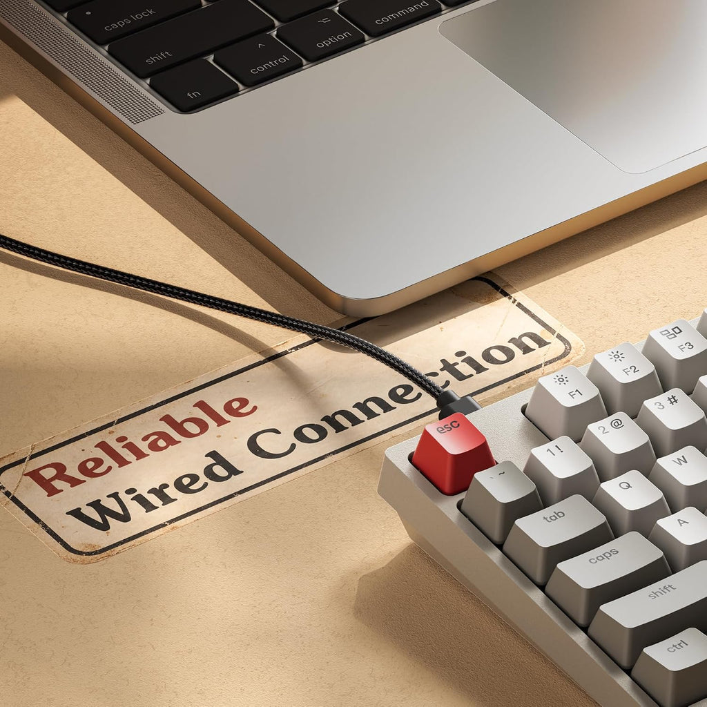 Keychron Teclado mecánico con cable de tamaño completo C2, interruptor